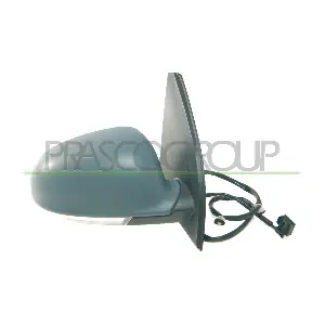 VG0367313P PRASCO