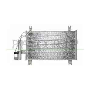 MZ310C001 PRASCO