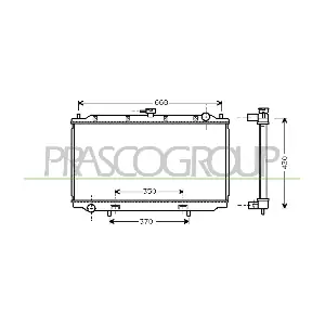 DS175R001 PRASCO