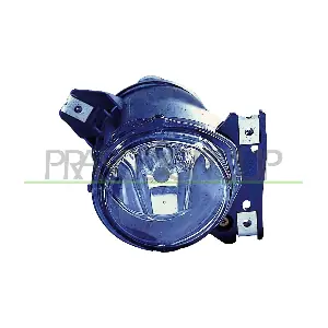 VG0974413 PRASCO