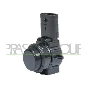 BM1232901 PRASCO