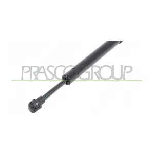 ME8209005 PRASCO