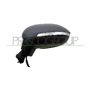 VG0567324 PRASCO