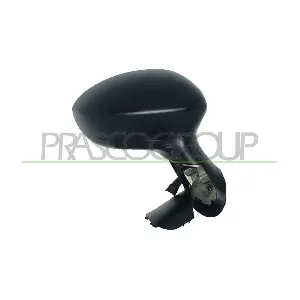FT3427203 PRASCO