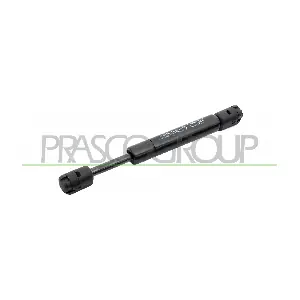 VG0349065 PRASCO