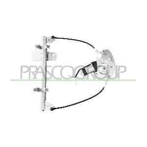 DS273W066 PRASCO