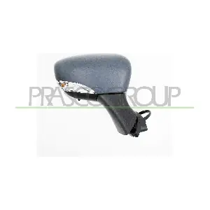 RN3297313P PRASCO