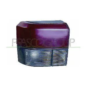 VG9134163 PRASCO