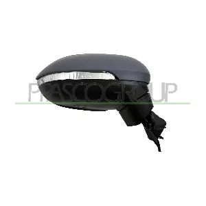 VG0567313 PRASCO
