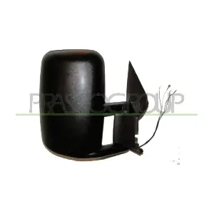 VG9507013 PRASCO
