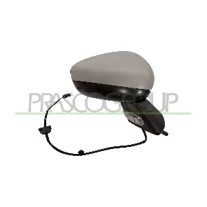 CI3247313 PRASCO