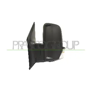 VG9527004 PRASCO