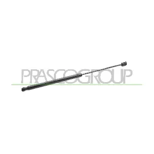 FT7159055 PRASCO
