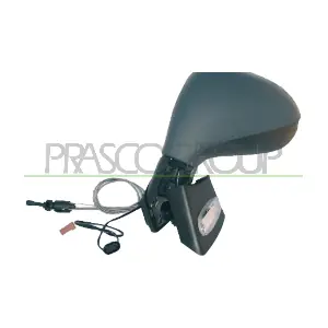 PG3207124 PRASCO