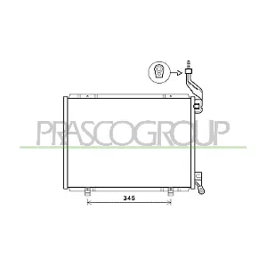 FD344C006 PRASCO