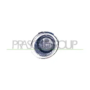 DS8644413 PRASCO
