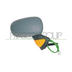 RN3087323 PRASCO