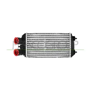 PRASCO PG330N001