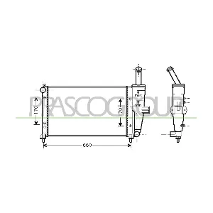 FT133R002 PRASCO