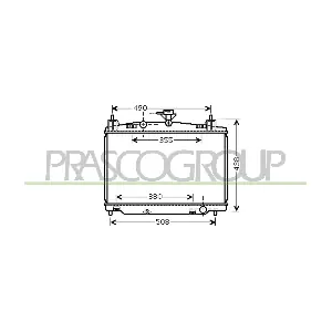 MZ309R002 PRASCO