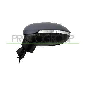 VG0567314 PRASCO