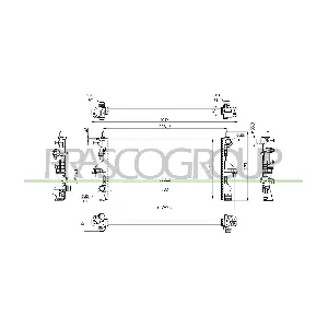 CI954R001 PRASCO