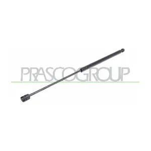 FT1389055 PRASCO