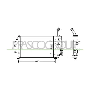 FT133R007 PRASCO