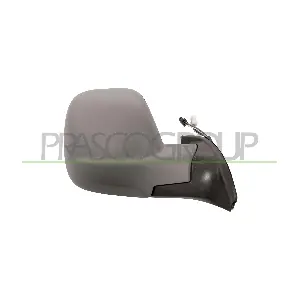 PG9107233 PRASCO