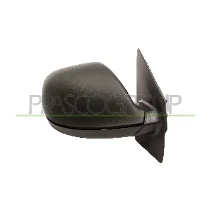 VG9197313 PRASCO
