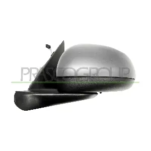 FT0407304P PRASCO