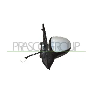 FD0087314P PRASCO