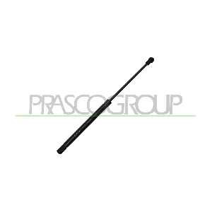 VG9049001 PRASCO