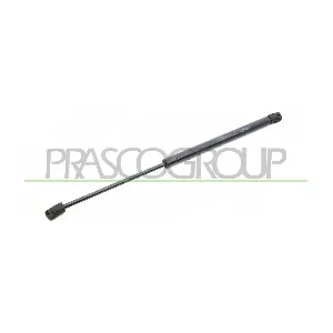 RN3259065 PRASCO