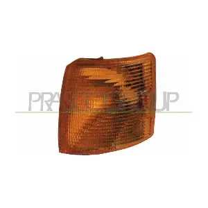 VG9134104 PRASCO