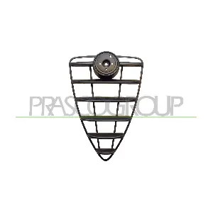 AA2102011 PRASCO