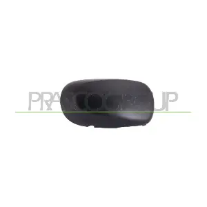 RN3087403 PRASCO