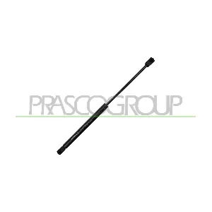 BM8229005 PRASCO