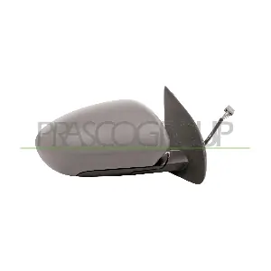 DS7107333 PRASCO