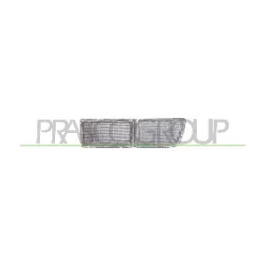 VG0324314 PRASCO