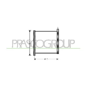 ME305R001 PRASCO