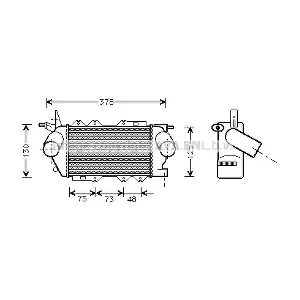 PRASCO OL4269