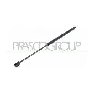 OP7179055 PRASCO