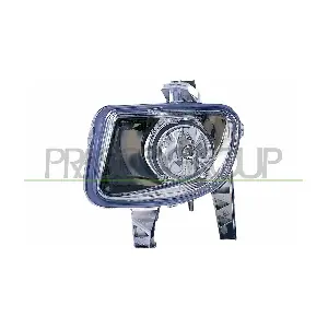 FT3424424 PRASCO