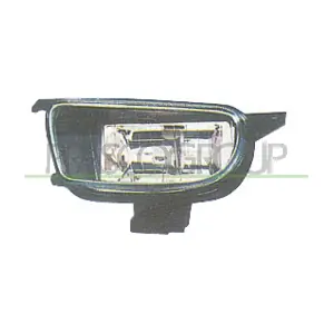 VG9154413 PRASCO