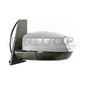 FD7197304P PRASCO