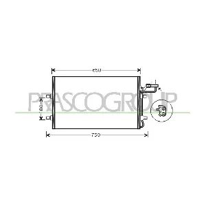 VV220C002 PRASCO