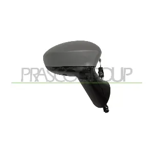FT0307103 PRASCO