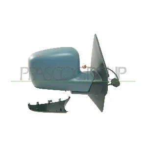 VG9177323P PRASCO