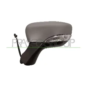 RN3297314 PRASCO